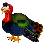 ไก่งวง ภาพเคลื่อนไหว-gif